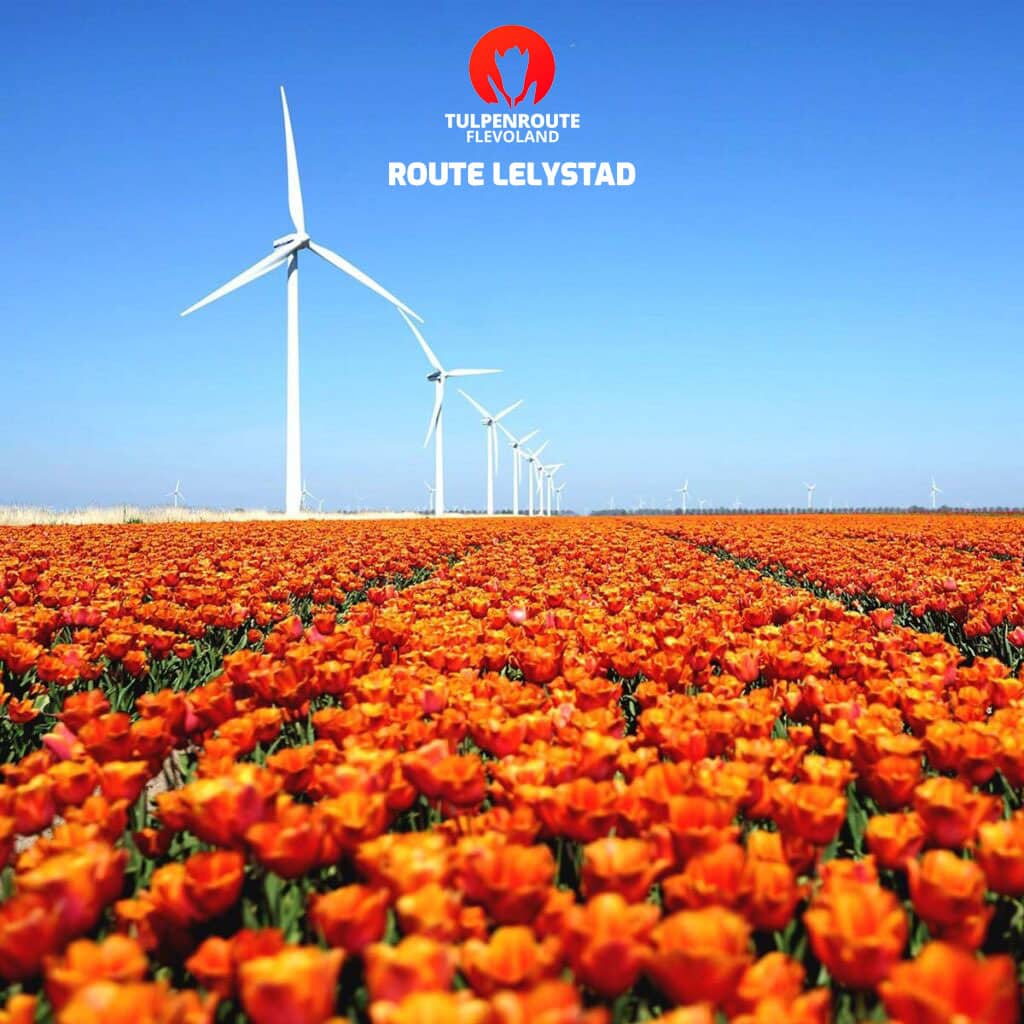 Bestel tickets voor de route in Dronten! Bestel tickets voor de route in Lelystad!