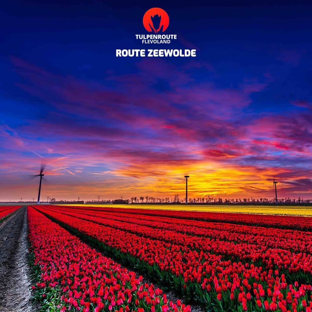 tulpenroute-flevoland-route-zeewolde-1024x1024 Bestel tickets voor de route in Dronten!