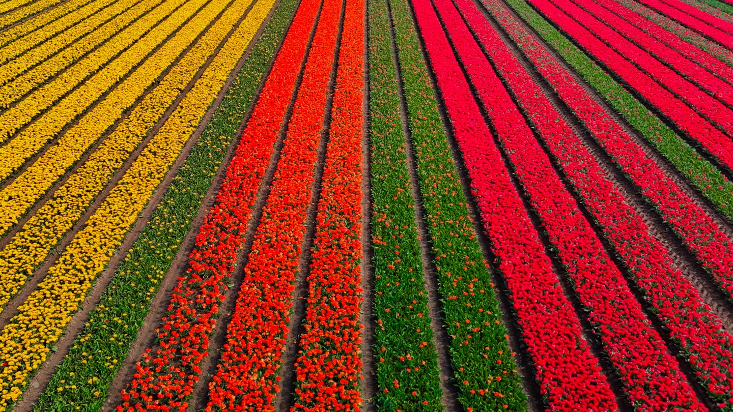 Buurman Fotografie